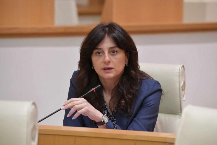 მაია ბითაძე „გახარია საქართველოსთვის“ წევრებს: პარლამენტი მხატვრული კითხვის საღამო არ არის - შეწყვიტეთ პოპულიზმი და დაიწყეთ მუშაობა