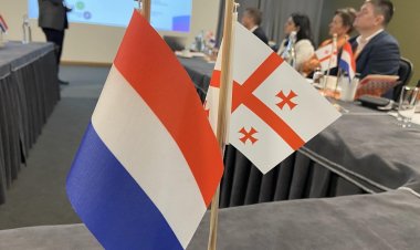 ვეტერანების საქმეთა სახელმწიფო სამსახურის წარმომადგენლები ნიდერლანდების სავაჭრო მისიის მიერ გამართულ სემინარს დაესწრნენ