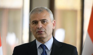 "მათ რიტორიკაში, ჩვენი ევროპული კურსიდან გადახვევა დაიწყო მას შემდეგ, რაც მიხეილ სააკაშვილის უკანონოდ საქართველოში შემოპარების ოპერაცია ჩავარდა" - ირაკლი ქადაგიშვილი ევროსტრუქტურებზე