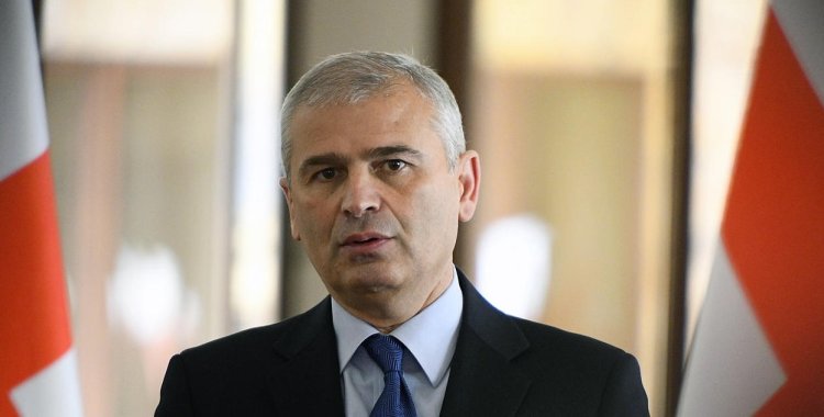 "მათ რიტორიკაში, ჩვენი ევროპული კურსიდან გადახვევა დაიწყო მას შემდეგ, რაც მიხეილ სააკაშვილის უკანონოდ საქართველოში შემოპარების ოპერაცია ჩავარდა" - ირაკლი ქადაგიშვილი ევროსტრუქტურებზე