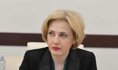 ეკა სეფაშვილი: საკონსტიტუციო სარჩელი არ  ნიშნავს ბრძოლას პოლიტიკური პარტიების წინააღმდეგ, ეს არის ბრძოლა ქვეყნის ეროვნული ინტერესების დასაცავად